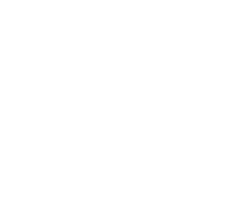 IDIBI Firearm Solutions Logo